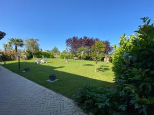 Miglianico的住宿－Lemon tree suite al golf，草地上种有椅子和树木的公园