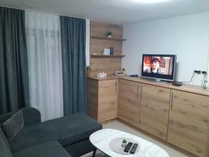 sala de estar con sofá y TV de pantalla plana en Apartmani BET Gradačac 1 Maj broj 24, en Gradačac