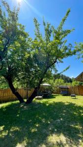 a tree in the middle of a yard at Pod Jabłoniami - Roztocze Susiec Paary in Pary