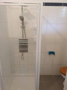 a shower with a glass door in a bathroom at PAVILLON CARAIBE in Petit-Bourg