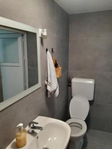 y baño con aseo, lavabo y espejo. en Apartmani BET Gradačac 1 Maj broj 24, en Gradačac