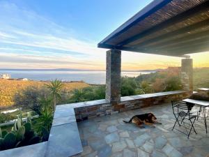 pies leżący na patio z widokiem na ocean w obiekcie Vigla Stone House w mieście Karistos