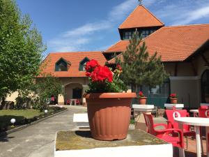 Vonkajšia záhrada v ubytovaní Garden Panzió