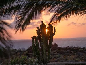 Las Puntas的住宿－Finca Afortunada，棕榈树和仙人掌,背面是日落