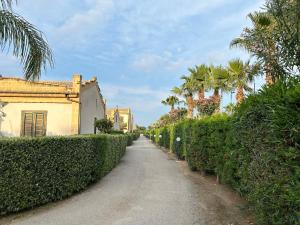 una strada sterrata con palme e un edificio di Villetta sul mare in Resort Village a Campofelice di Roccella