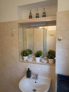 ein Badezimmer mit einem Waschbecken, einem Spiegel und Topfpflanzen in der Unterkunft Kwatera u Kasi in Świnoujście