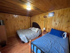 1 Schlafzimmer mit 2 Betten in einer Holzhütte in der Unterkunft Alojamiento Machicura in Linares