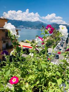 Naturlandskabet i nærheden af lejligheden