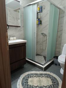 a bathroom with a shower and a sink and a toilet at Panos House - High Luxury Apartment in Tríkala