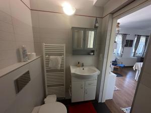 a small bathroom with a sink and a toilet at Apartmán U jezírka in Velké Přílepy