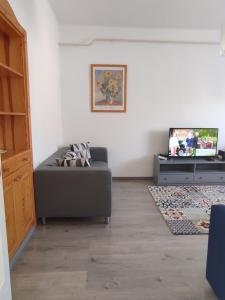 a living room with a couch and a tv at Baross Apartman in Tapolca