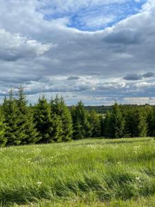 un campo con césped verde y árboles al fondo en Restu Forrest Glamp en Otepää