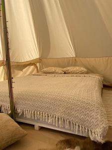 Llit o llits en una habitació de Restu Forrest Glamp