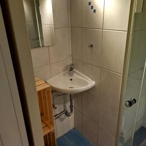 uma casa de banho com um lavatório e um chuveiro em Rubens Haus em Siegen
