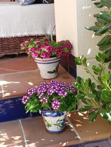 Ogród w obiekcie Casa Irina & Elena 2bed 2bath