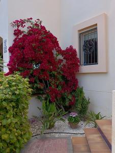 Ogród w obiekcie Casa Irina & Elena 2bed 2bath