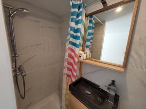 een kleine badkamer met een douche en een wastafel bij 2G- Studio tout équipé avec cuisine proche Paris in Issy-les-Moulineaux