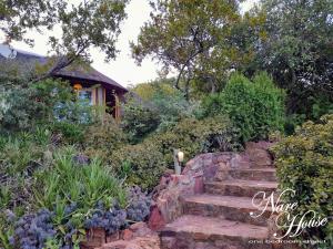 eine Treppe in einem Garten mit einem Haus in der Unterkunft Moritshane estate in Gaborone