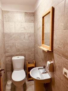 a bathroom with a toilet and a sink at Guest House and Hostel VAL-MAR in Gjirokastër