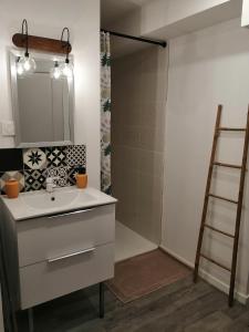 uma casa de banho com um lavatório branco e um chuveiro em Le Vélo Vintage, Beau 2 pièces centre ville em Tonneins