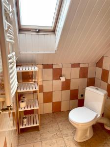 a bathroom with a toilet and a skylight at Pokoje i domek letniskowy Pod Kasztanem in Jastarnia