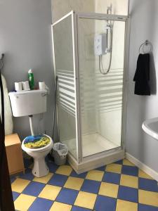 een badkamer met een douche en een toilet bij City centre apartments free Wi-Fi free parking in Derry Londonderry