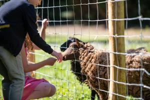 Ein junges Mädchen füttert ein Schaf durch einen Zaun in der Unterkunft La Fermette du Pérougord à Rouffignac-St-Cernin Périgord Noir in Rouffignac Saint-Cernin