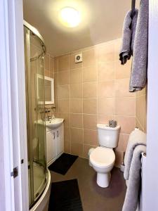 a bathroom with a toilet and a sink and a shower at Sandford House Apartment in Seaford