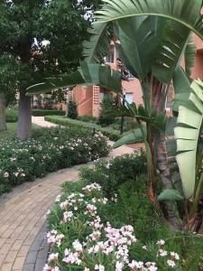Ogród w obiekcie Superbe appartement avec piscine à 800m de la mer