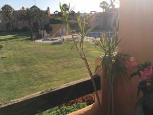 Ogród w obiekcie Superbe appartement avec piscine à 800m de la mer
