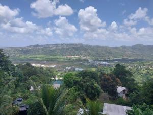 a view of a town with trees and a mountain at Avocado Suites in Castries