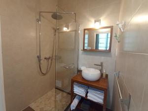 a bathroom with a shower and a sink at Château Latour - B&B, Pool, Parking, Dinner pre-bookable in Fours +82 photos