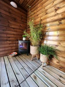 a fireplace on a wooden floor with two potted plants at The Stable Annexe with hot tub & horses in Dogdyke