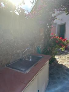um balcão de cozinha com um lavatório e algumas flores em Maison Des Amis em Capraia