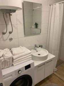 een badkamer met een wastafel en een wasmachine bij Apartman SARA in Trebinje
