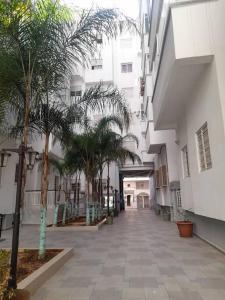 an empty hallway with palm trees in a building at Appartement au centre de la ville de Meknès in Meknès