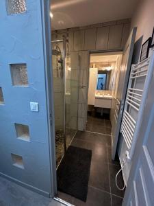 uma casa de banho com um chuveiro e uma porta de vidro em CHAcabuLONS em Châlons-en-Champagne