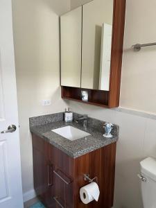 W łazience znajduje się umywalka i lustro. w obiekcie Spacious apartments Crystal Waters w mieście Lucea