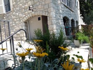 Zahrada ubytování Apartment Žiži