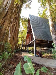 uma pequena cabana no meio de uma floresta em Casa del Árbol (A-Frame) - Ágape del Bosque em Monteverde