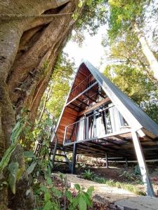 a wooden house in the middle of a forest at Casa del Árbol (A-Frame) - Ágape del Bosque in Monteverde Costa Rica