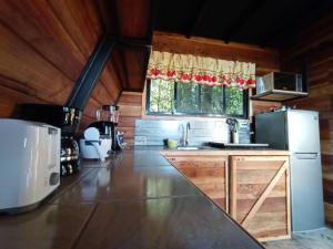 a kitchen with a refrigerator and a counter top at Casa del Árbol (A-Frame) - Ágape del Bosque in Monteverde Costa Rica +18 photos