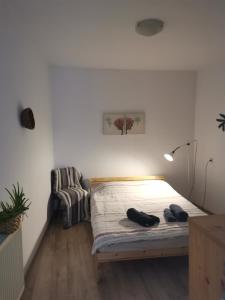- une chambre dotée d'un lit avec deux chaussures noires dans l'établissement Rebreanu Family, à Sibiu