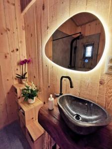 W łazience znajduje się umywalka i lustro. w obiekcie La Cabane d'Ode w mieście Sainte-Ode