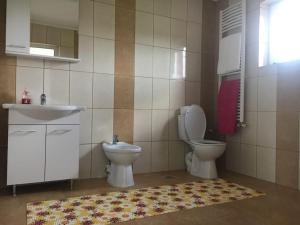 ein Badezimmer mit einem Waschbecken, einem WC und einem Teppich in der Unterkunft Pensiunea lui George in Vaslui