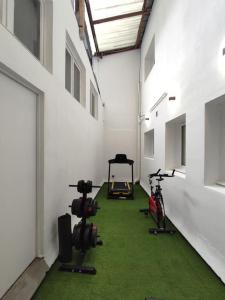 a room with a green floor and a bike in it at Appartement Le Secret, Proche Sanctuaires in Lourdes