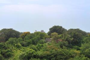 een huis bovenop een heuvel met bomen bij Four Points By Sheraton Visakhapatnam in Visakhapatnam