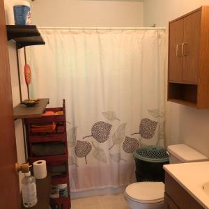 a bathroom with a toilet and a shower curtain at Porter’s Place in Vanderhoof