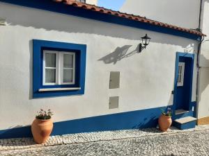 a blue and white building with a window and two plants at Cabana Sete Ondas in Nazaré