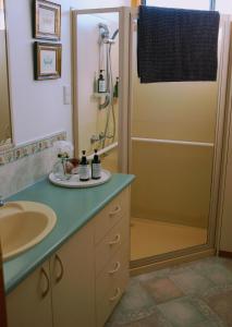 a bathroom with a sink and a shower at Bonnie Views Cottage in Clunes